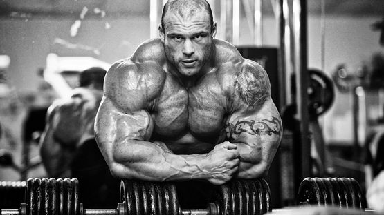 Clenbuterol 50 mcg Cygnus: An Overview